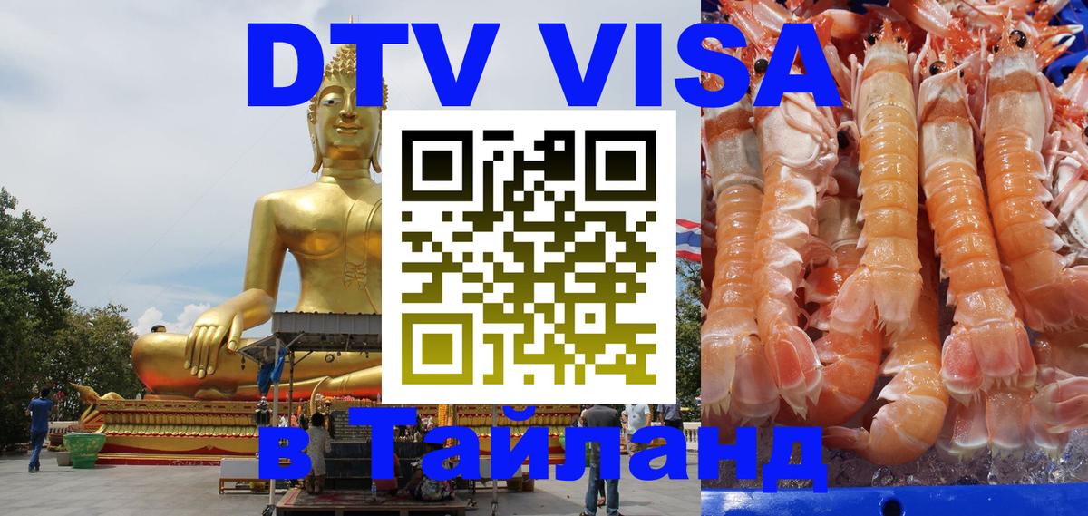 Сколько стоит DTV виза — актуальные цены, оформление даже без документов - 05.12.2025 